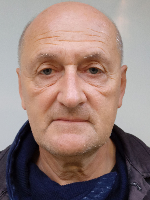 BRAUN ATTILA