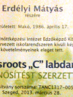 Erdélyi Mátyás