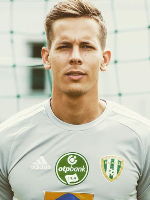 Lévay Gergely
